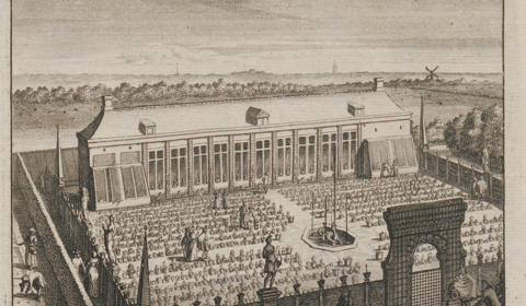 Print orangerie van Gunterstein