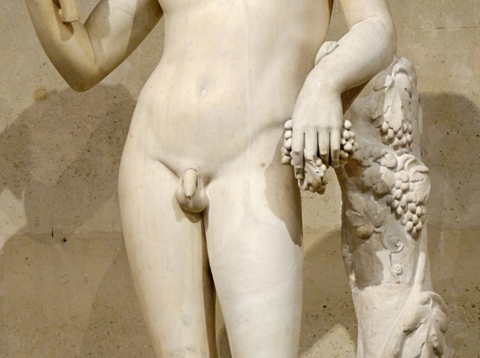 Dionysus; meer dan de god van wijn en vreugde. Ook één van de weinige androgyne goden