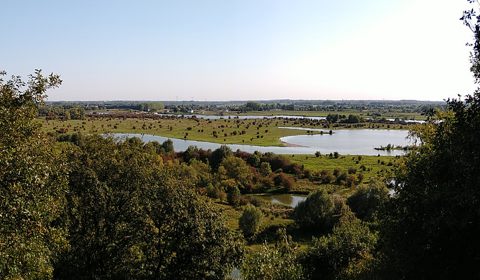 Uitzicht vanaf de Grebbeberg