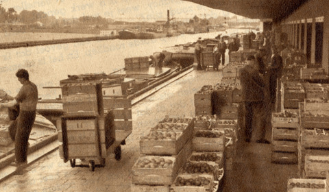 Het laden van fruit bij de Veilinghaven
