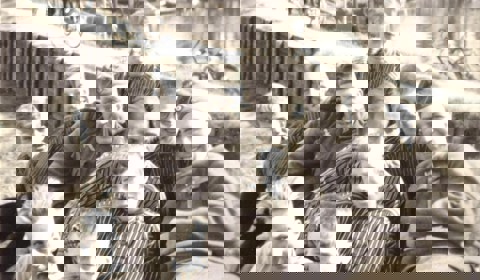 Spakenburgse jeugd met Duitse soldaten