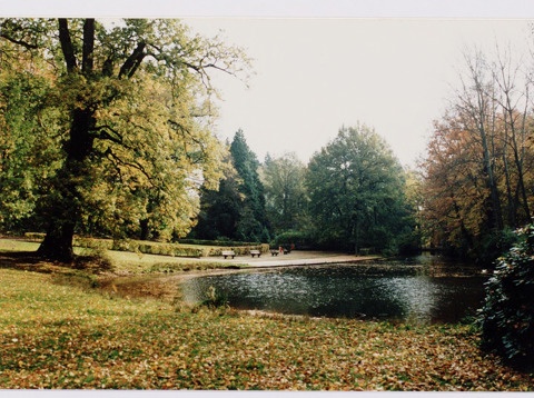 De vijver van Park Randenbroek, Amersfoort