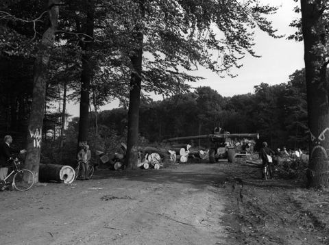 Gerooide bomen, noodzakelijk voor de aanleg van de A27
