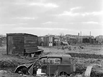 Vincent in de Johannapolder