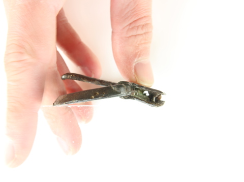 Romeinse gesp vastgehouden