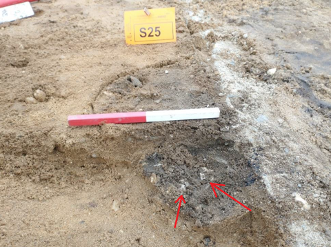 Vondst van crematiegraf bij de opgravingen te Amerongen