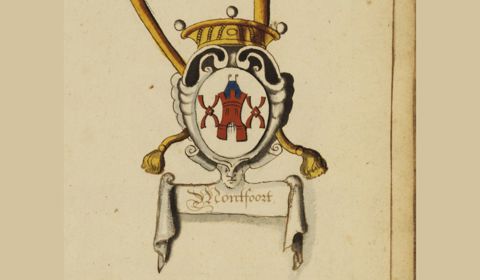 Stadswapen van Montfoort