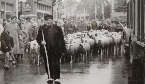 Peru En Veenendaal 2