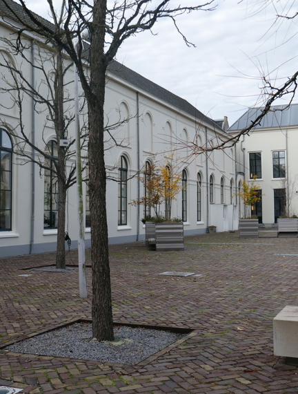 De universiteitsbibliotheek