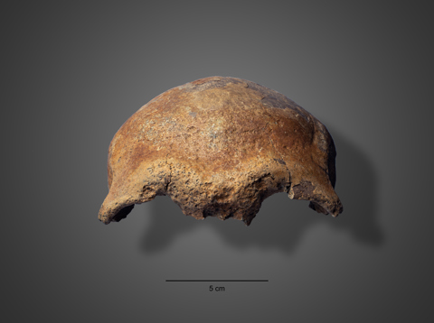 Het schedeldak van Wijk bij Duurstede