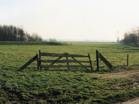 Landschap bij boerderij "Hoogerhorst", Hoogland
