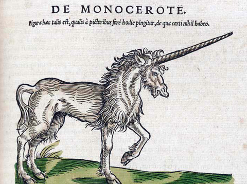 De middeleeuwse eenhoorn