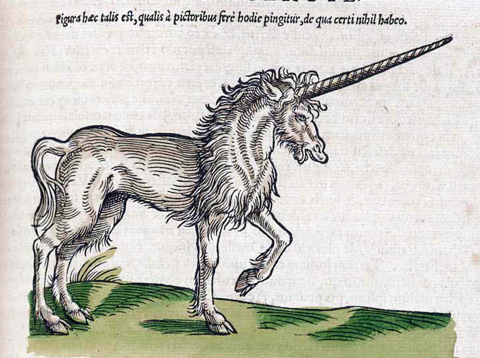 De middeleeuwse eenhoorn
