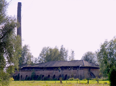 Vianen Steenfabriek Ossenwaard Foto Usine
