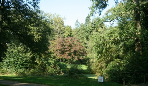 Park Beukenstein
