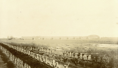 Gezicht op de uiterwaarden met wilgen langs de Lekdijk