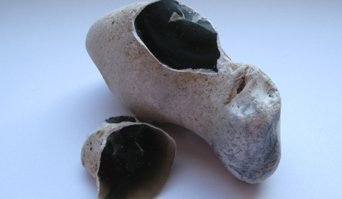 Een vuursteenknol met een witte korst