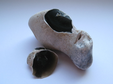 Een vuursteenknol met een witte korst