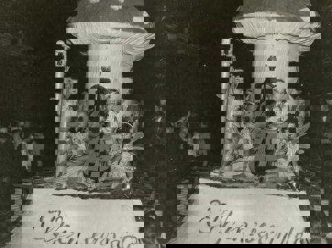 Een sprookjesachtige kar