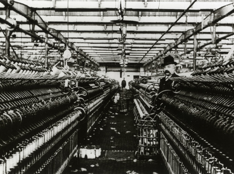 Scheepjeswol uit Veenendaal