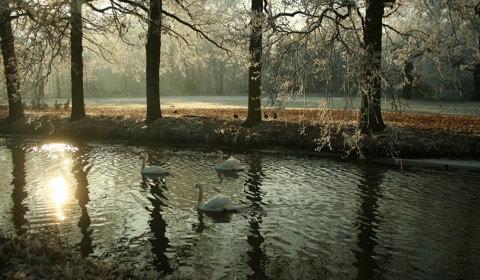 Regio Kromme Rijn Langbroek