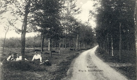 Gezicht op de Maarnse Grintweg