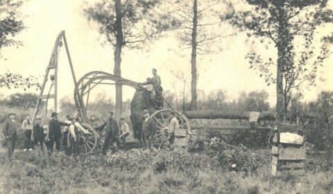 Kasteel de Haar, het planten van bomen uit de Zeister bossen