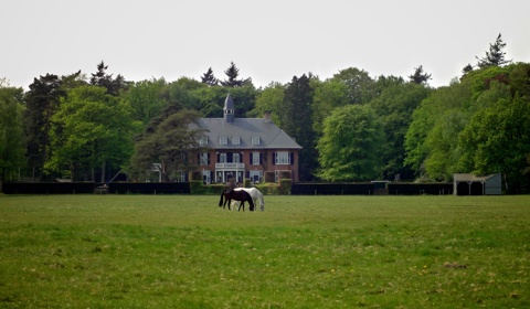 De Hoogt