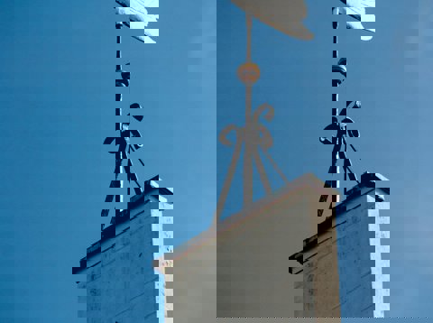 Lutherse kerk Woerden, zwaan achter op het dak