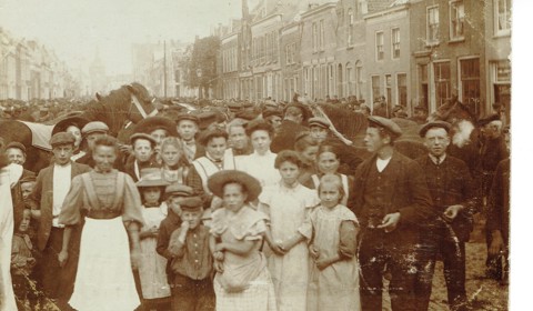 Paardenmarkt rond 1911