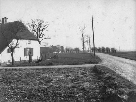 Het zandpad bij de Meerndijk
