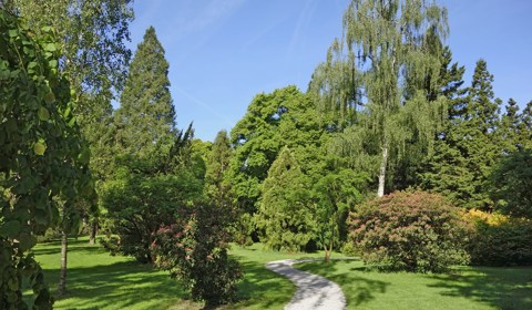 Pinksterconcert Amersfoorts Jeugd Orkest Gimborn Arboretum 2015 2