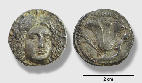 Hoofdje Judaspenning Alexander Van De Bunt