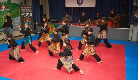 Demodag Pencak Silat