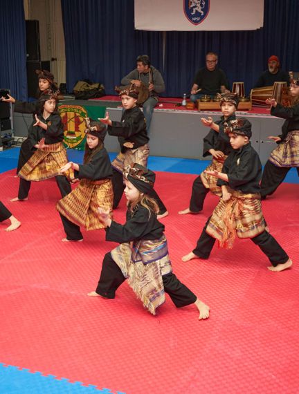 Demodag Pencak Silat