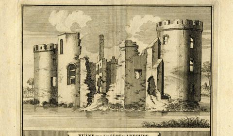 Gezicht op de ruine van het slot Abcoude bij Abcoude uit het noordwesten