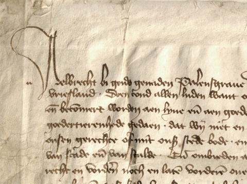 Stadsrechtuitbreiding 1393 detail
