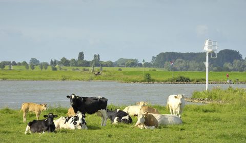 Cotlandenpad