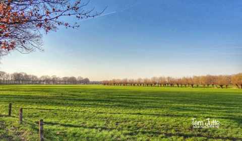 Stichtse Lustwarande