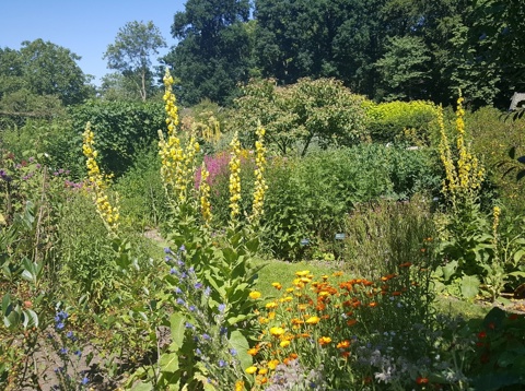 Oostbroek kruidentuin