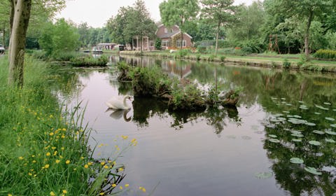 Watergang in de Lopikerwaard