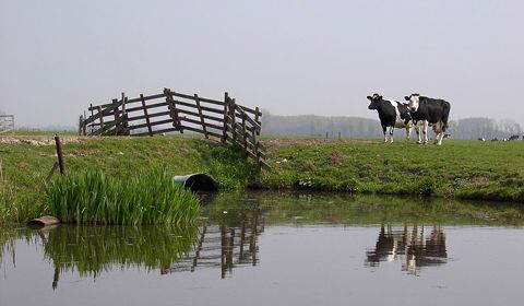 Regio Lopikerwaard