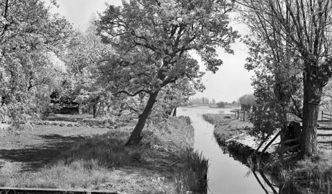 Gezicht op een door sloten omringd perceel te Tienhoven