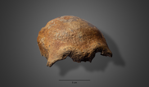 Het schedeldak van Wijk bij Duurstede van voren