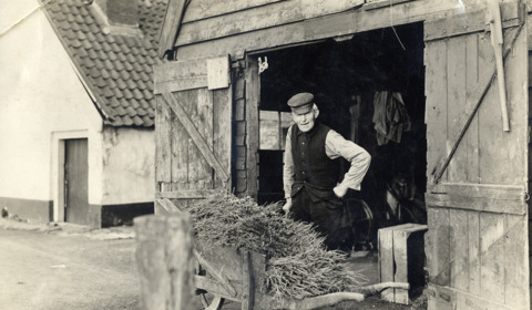 Hovenier Bastiaan Jongerius