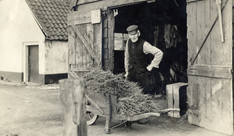 Hovenier Bastiaan Jongerius