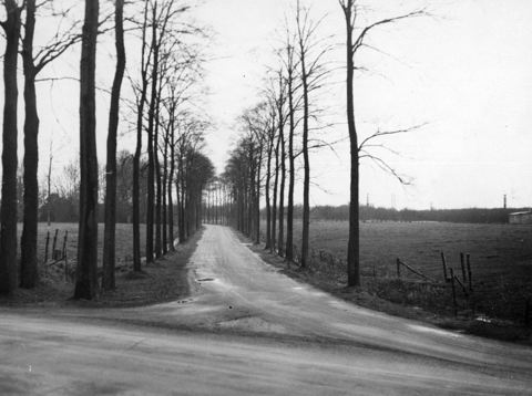 Gezicht op de Mereveldseweg te Bunnik, vanaf de Koningsweg