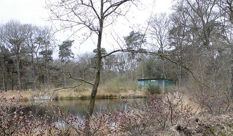 Organisatie Maarn Maarsbergen Vervanging