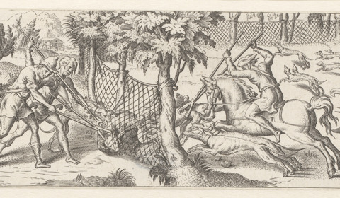 Jacht op wolven met behulp van een net Chasses a différents animaux