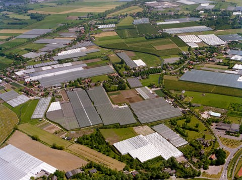 Tuinbouwgebied te Vleuten